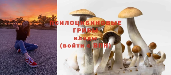 герыч Алексин