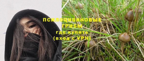 ешки Алексеевка