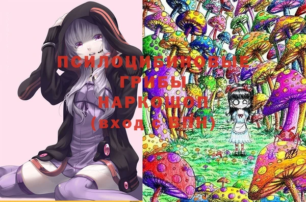 тгк Алзамай
