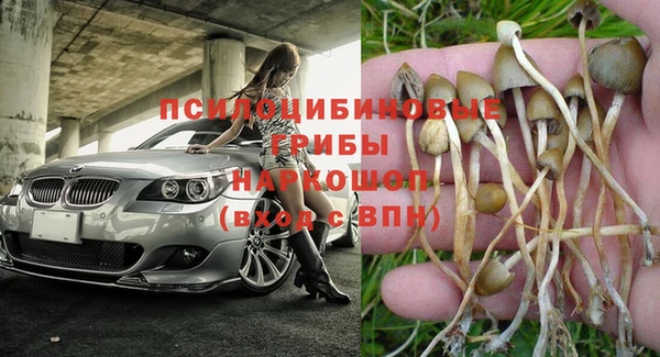 ешки Алексеевка
