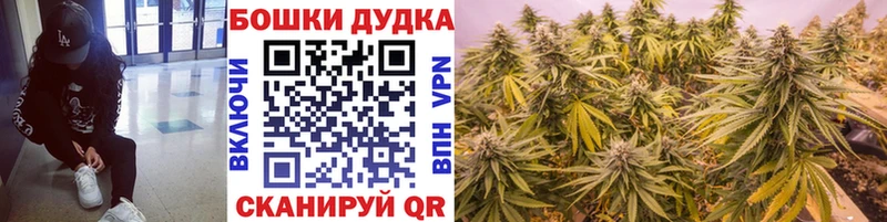 хочу наркоту  Дзержинск  Конопля Amnesia 